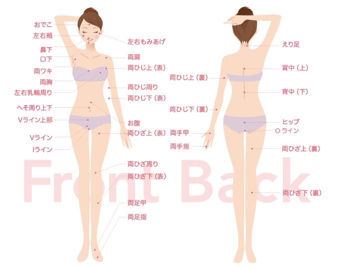 シースリー（C3）藤沢店は全身53ヶ所脱毛